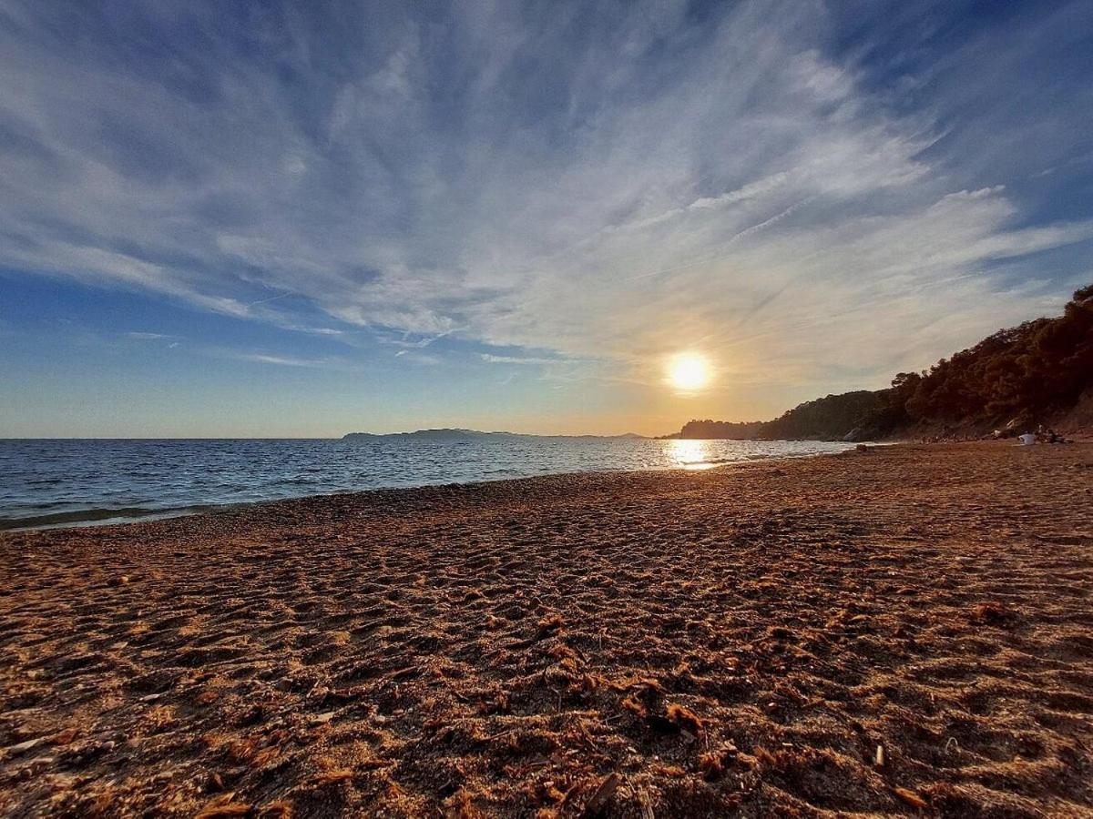 Superbe Rez-De-Villa 6P Calme & Plage A Pied Le Pradet Zewnętrze zdjęcie